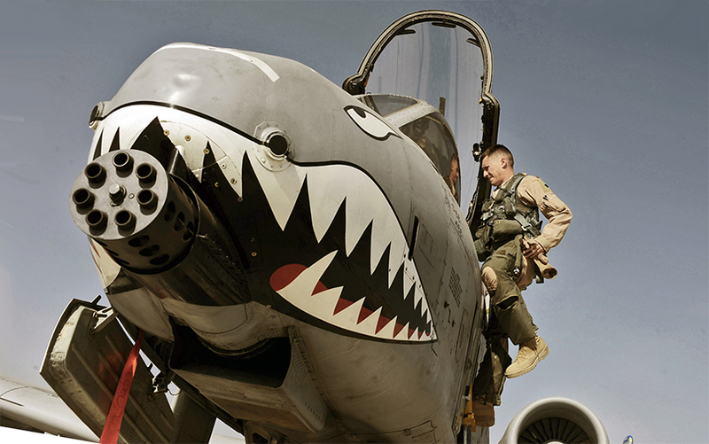 Looks hungry. (Photo Credit: USAF/Flickr)